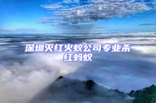 深圳滅紅火蟻公司專業殺紅螞蟻