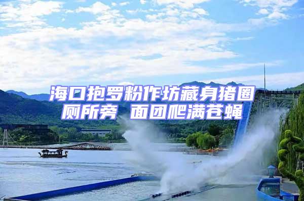 海口抱羅粉作坊藏身豬圈廁所旁 面團(tuán)爬滿蒼蠅