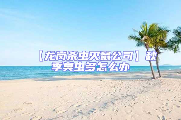 【龍崗殺蟲(chóng)滅鼠公司】秋季臭蟲(chóng)多怎么辦