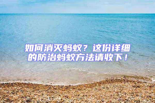 如何消滅螞蟻？這份詳細的防治螞蟻方法請收下！