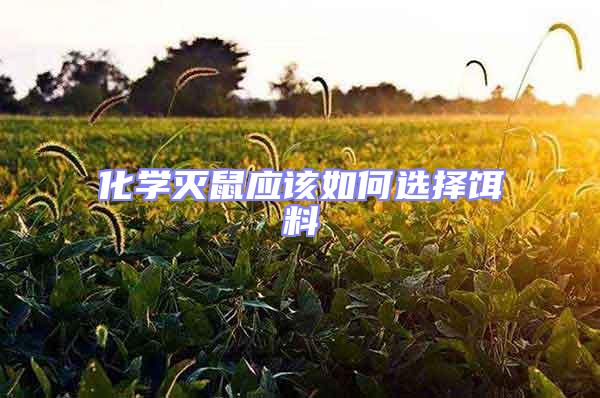 化學(xué)滅鼠應(yīng)該如何選擇餌料
