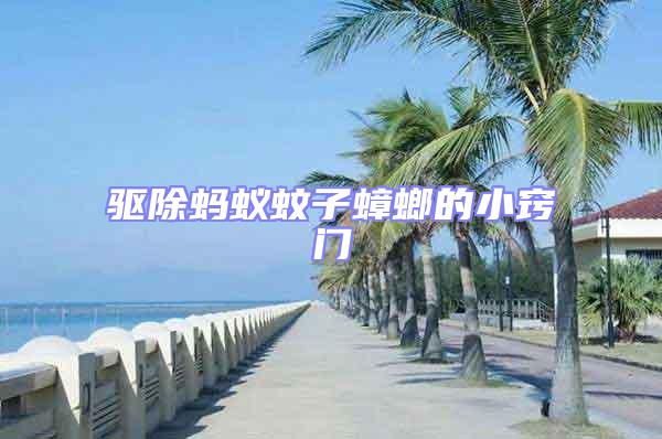 驅除螞蟻蚊子蟑螂的小竅門