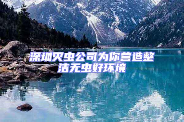 深圳滅蟲公司為你營造整潔無蟲好環境