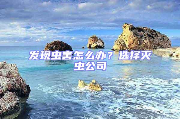 發現蟲害怎么辦？選擇滅蟲公司