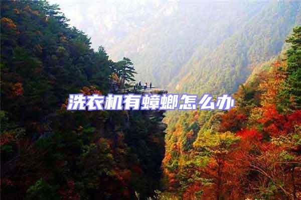 洗衣機(jī)有蟑螂怎么辦