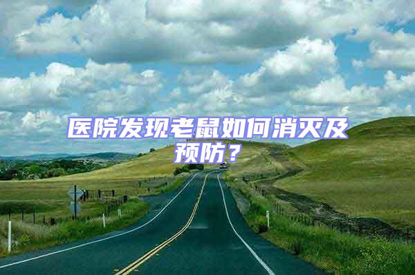 醫院發現老鼠如何消滅及預防？