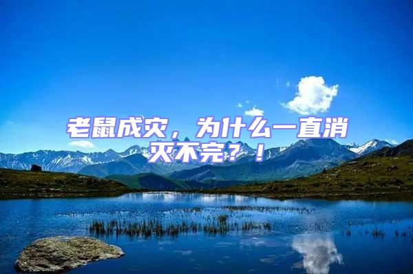 老鼠成災(zāi)，為什么一直消滅不完？！
