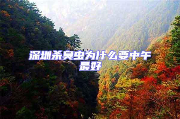 深圳殺臭蟲(chóng)為什么要中午最好