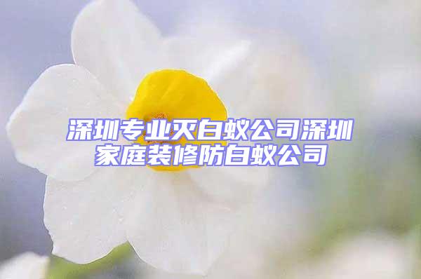 深圳專業(yè)滅白蟻公司深圳家庭裝修防白蟻公司