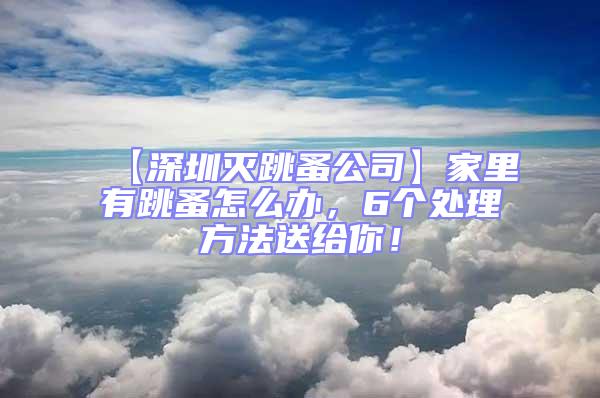 【深圳滅跳蚤公司】家里有跳蚤怎么辦，6個處理方法送給你！