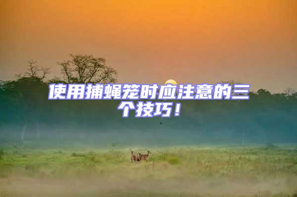 使用捕蠅籠時應(yīng)注意的三個技巧！