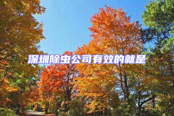 深圳除蟲(chóng)公司有效的就是