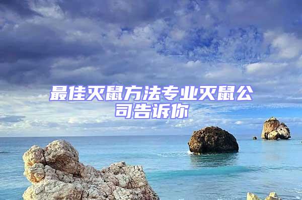 最佳滅鼠方法專業(yè)滅鼠公司告訴你