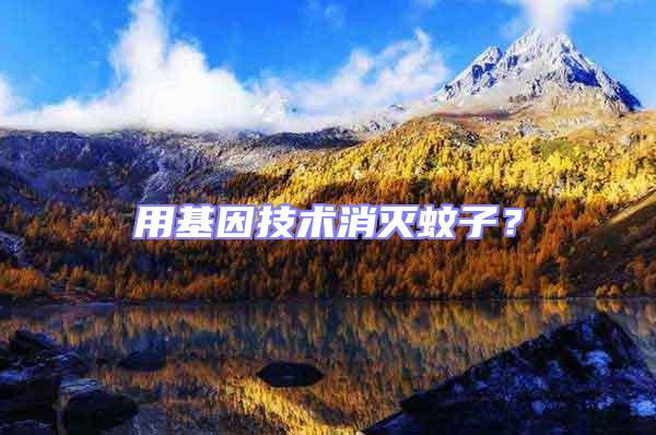 用基因技術(shù)消滅蚊子？