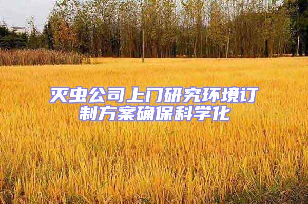 滅蟲公司上門研究環(huán)境訂制方案確保科學(xué)化