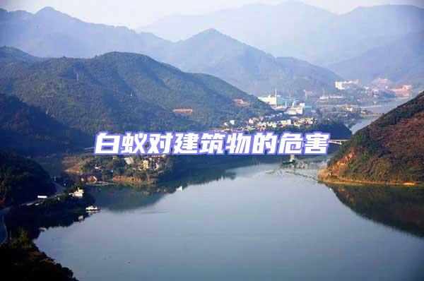 白蟻對(duì)建筑物的危害