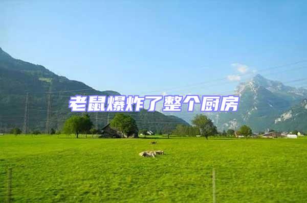 老鼠爆炸了整個(gè)廚房