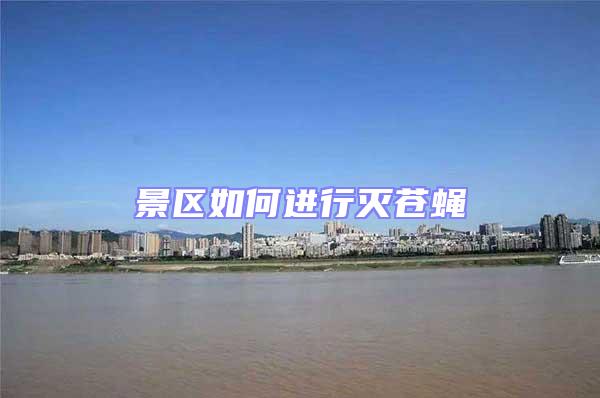 景區(qū)如何進(jìn)行滅蒼蠅