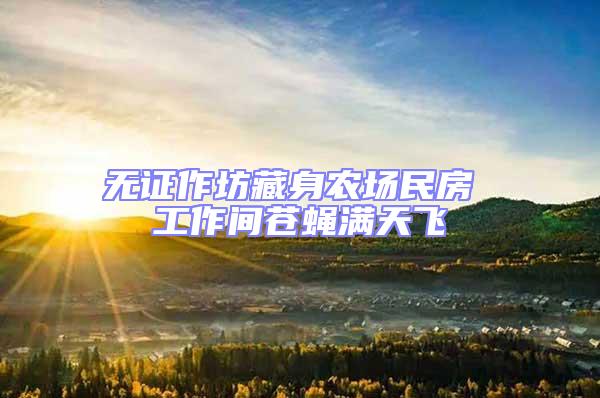 無(wú)證作坊藏身農(nóng)場(chǎng)民房 工作間蒼蠅滿天飛