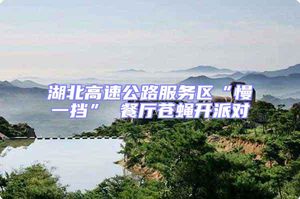 湖北高速公路服務(wù)區(qū)“慢一擋” 餐廳蒼蠅開派對(duì)