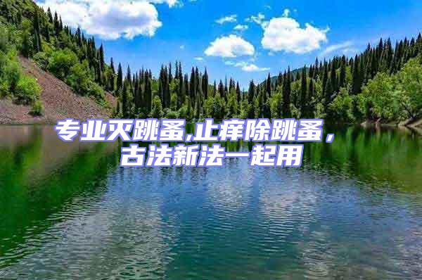 專業滅跳蚤,止癢除跳蚤， 古法新法一起用