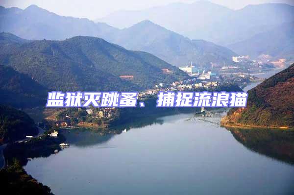 監獄滅跳蚤、捕捉流浪貓