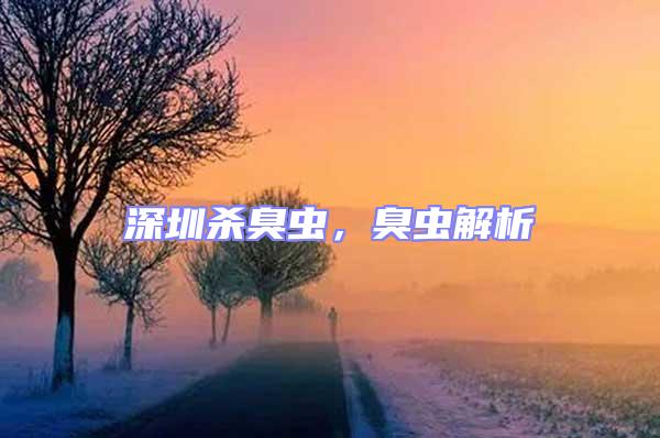 深圳殺臭蟲，臭蟲解析