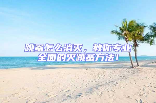 跳蚤怎么消滅，教你專業(yè)全面的滅跳蚤方法！
