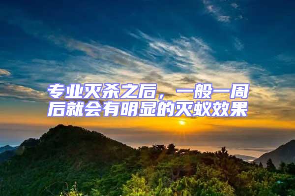 專業(yè)滅殺之后,一般一周后就會(huì)有明顯的滅蟻效果