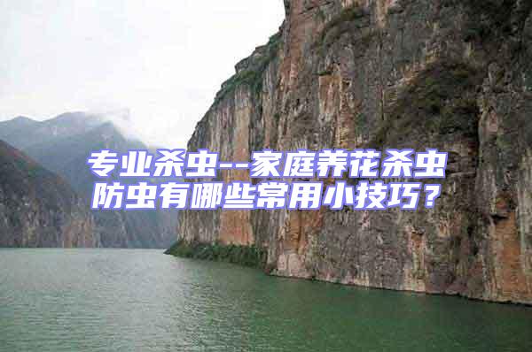 專業殺蟲--家庭養花殺蟲防蟲有哪些常用小技巧？