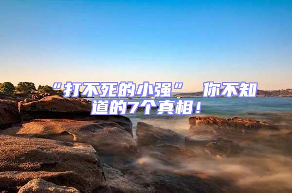 “打不死的小強(qiáng)” 你不知道的7個(gè)真相！