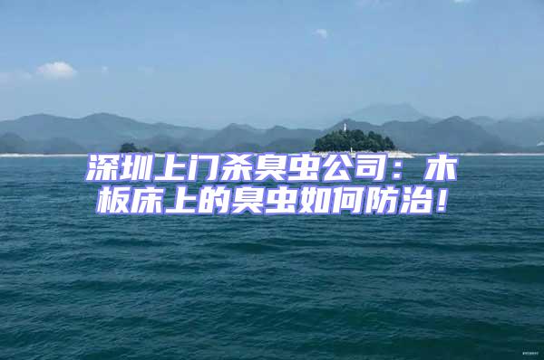 深圳上門殺臭蟲公司：木板床上的臭蟲如何防治！