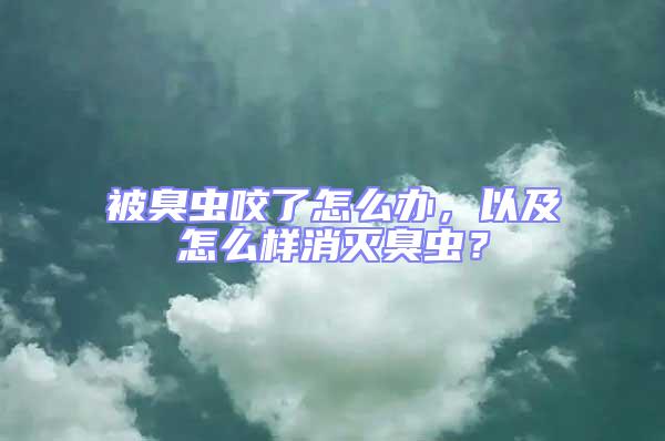 被臭蟲咬了怎么辦，以及怎么樣消滅臭蟲？