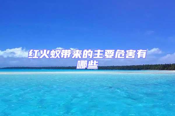 紅火蟻帶來(lái)的主要危害有哪些