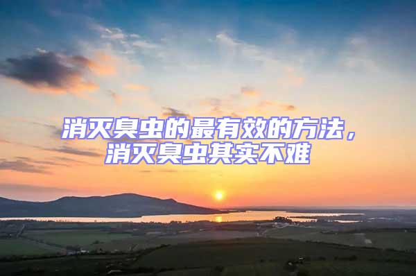 消滅臭蟲的最有效的方法，消滅臭蟲其實(shí)不難