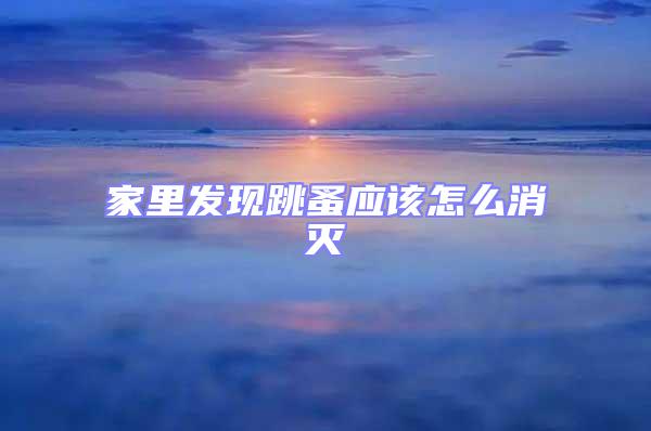 家里發現跳蚤應該怎么消滅