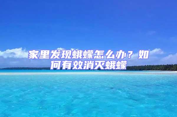 家里發現蛾蠓怎么辦?如何有效消滅蛾蠓