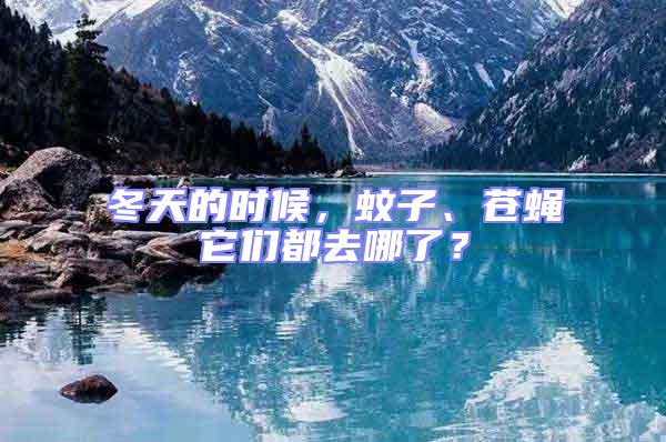 冬天的時候，蚊子、蒼蠅它們都去哪了？