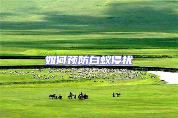 如何預(yù)防白蟻侵?jǐn)_