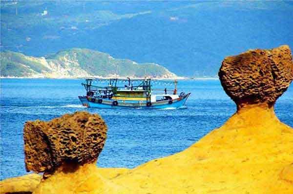 殺蟲公司詳談臭蟲