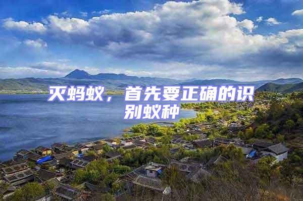 滅螞蟻，首先要正確的識別蟻種