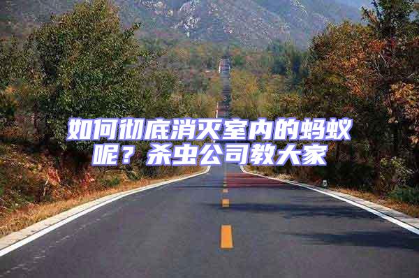 如何徹底消滅室內(nèi)的螞蟻呢？殺蟲公司教大家