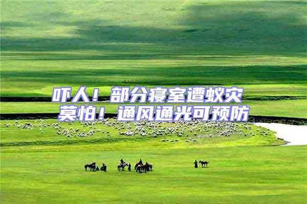 嚇人！部分寢室遭蟻災(zāi) 莫怕！通風(fēng)通光可預(yù)防