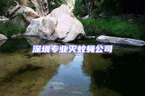 深圳專業滅蚊蠅公司