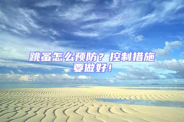 跳蚤怎么預防？控制措施要做好！