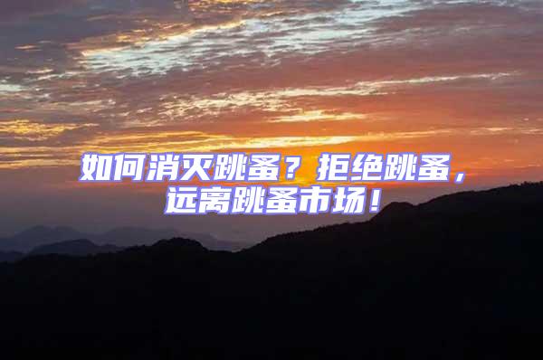 如何消滅跳蚤？拒絕跳蚤，遠離跳蚤市場！