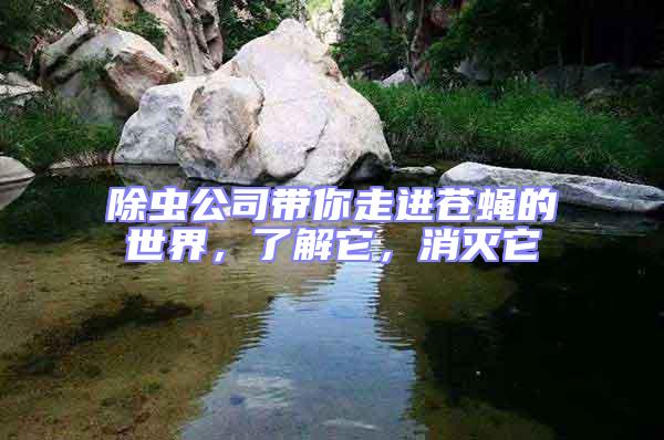 除蟲(chóng)公司帶你走進(jìn)蒼蠅的世界，了解它，消滅它