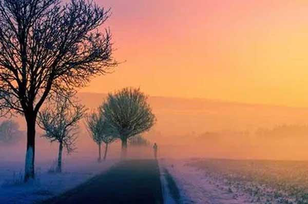 深圳白蟻防治：白蟻比較喜歡食松木、夾板等較為松軟材質(zhì)的家具