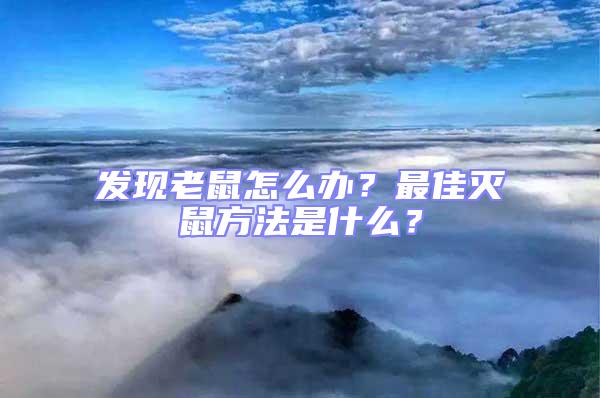 發(fā)現(xiàn)老鼠怎么辦？最佳滅鼠方法是什么？