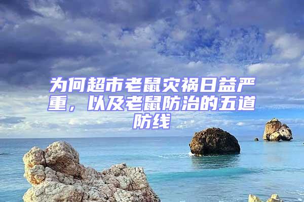 為何超市老鼠災禍日益嚴重，以及老鼠防治的五道防線